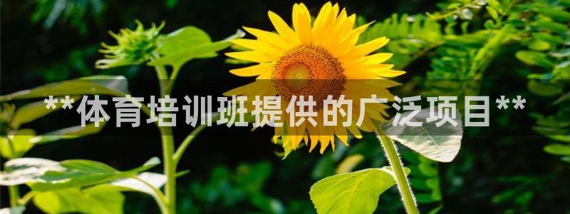 欧陆娱乐注册链接安全吗知乎：**体育培训班提供的广泛