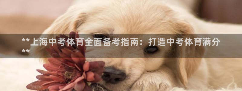 欧陆娱乐官方客服电话：**上海中考体育全面备考指南：打造中考