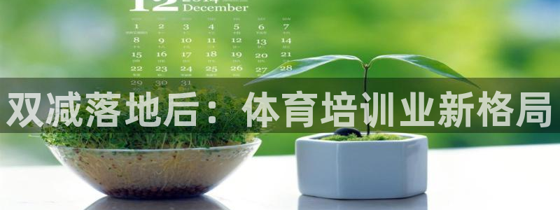 欧陆娱乐登录注册平台：双减落地后：体育培训业新格局
