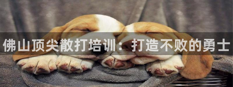 欧陆娱乐登录注册平台：佛山顶尖散打培训：打造不败的勇