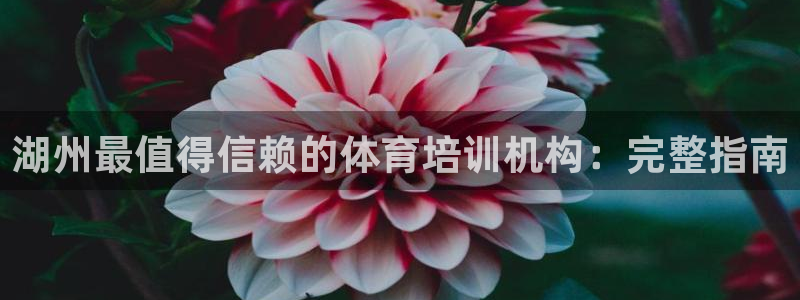 欧陆娱乐提现多久到账：湖州最值得信赖的体育培训机构：完整指南