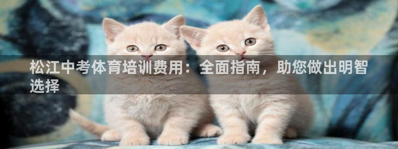欧陆娱乐官网下载安装最新版苹果：松江中考体育培训费用