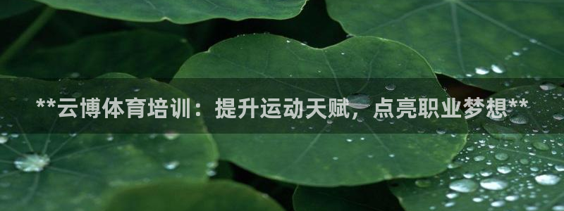 欧陆娱乐挂机项目：**云博体育培训：提升运动天赋，点