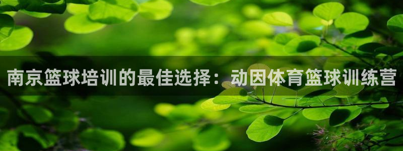 欧陆娱乐官方下载安装：南京篮球培训的最佳选择：动因体