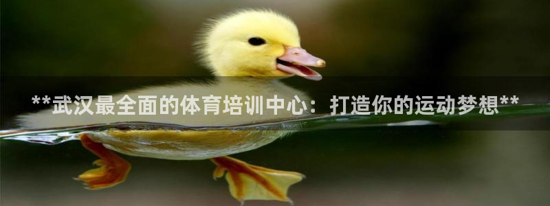 欧陆娱乐怎么注册帐号登录：**武汉最全面的体育培训中