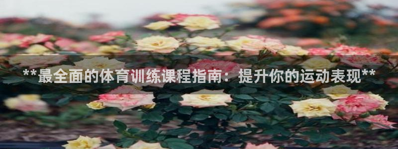 欧陆娱乐合法吗：**最全面的体育训练课程指南：提升你