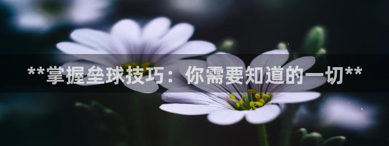 欧陆娱乐合法吗?