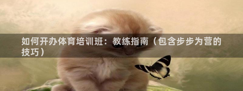 欧陆娱乐注册链接安全吗：如何开办体育培训班：教练指南