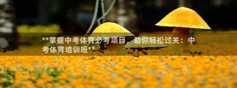 欧陆娱乐登陆官网下载：**掌握中考体育必考项目，助你