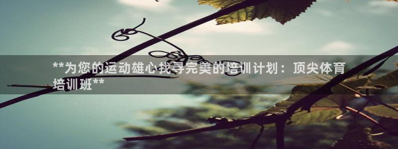 欧陆娱乐是资金盘吗：**为您的运动雄心找寻完美的培训