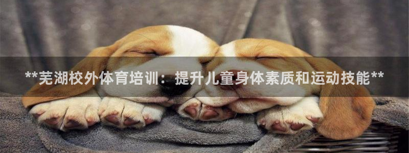 欧陆娱乐是那个旗下的品牌公司：**芜湖校外体育培训：提升儿童