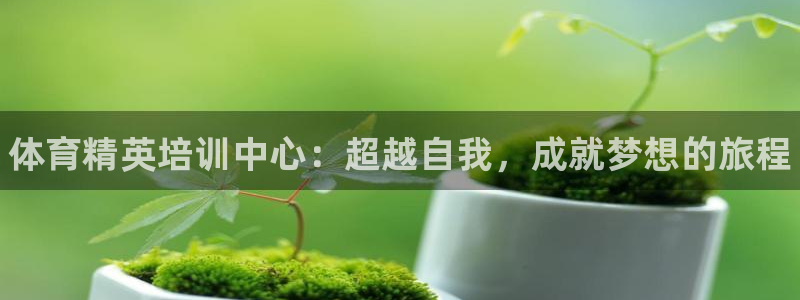 欧陆娱乐登录平台有哪些：体育精英培训中心：超越自我，成就梦想