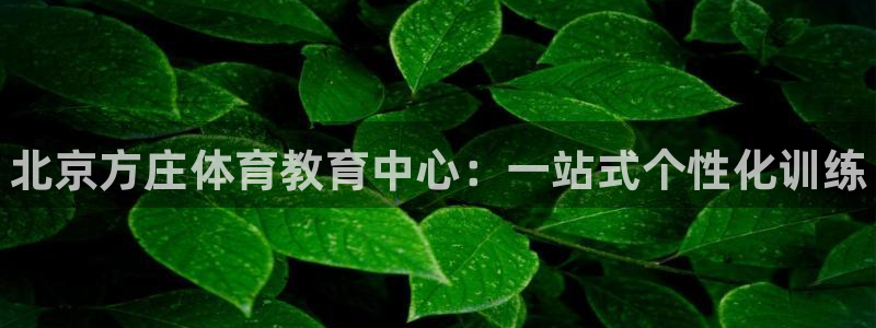 欧陆娱乐挂机怎么玩：北京方庄体育教育中心：一站式个性