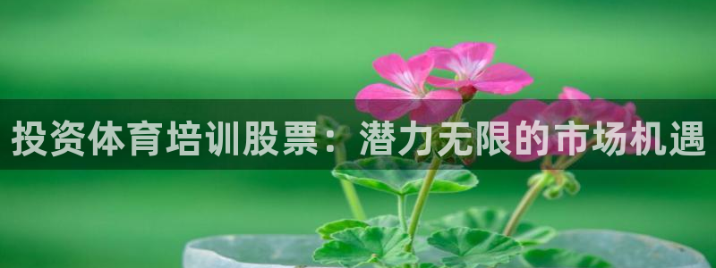 欧陆娱乐脚本怎么下载：投资体育培训股票：潜力无限的市