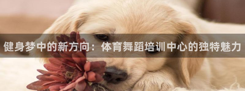 欧陆娱乐平台登录不上怎么回事：健身梦中的新方向：体育